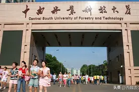 中南林业科技大学怎么样图片