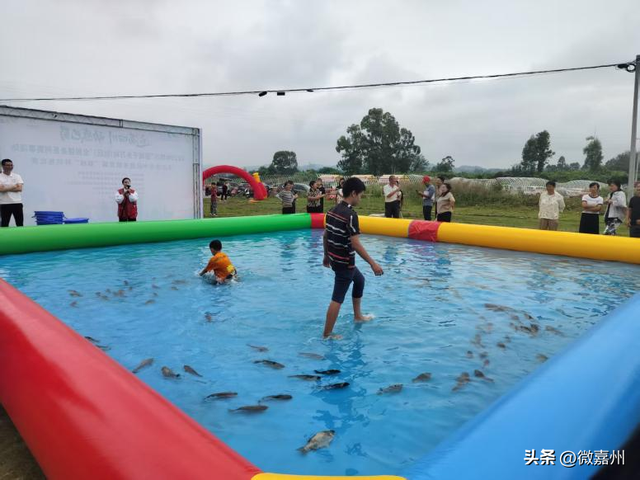 嘉州味・双节乐丨这个国庆，打卡悦来文旅新场景，感受诗意假期