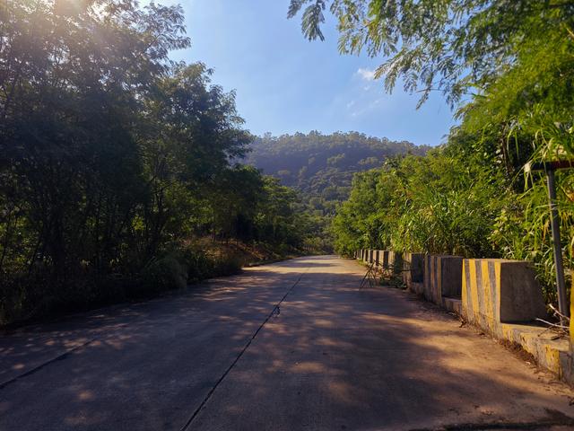 塘朗山郊野公园[绿平二路入口]骑行爬坡好地方