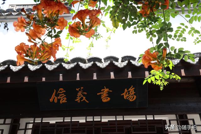 实拍江苏苏州昆山正仪老街：江南水乡的时光印记
