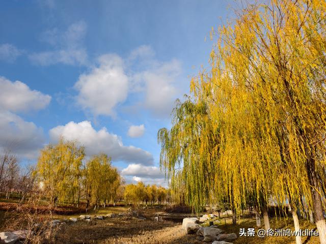 新疆昌吉头屯河公园