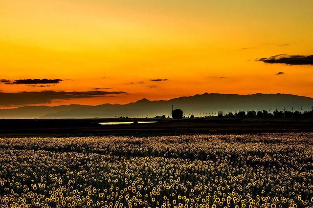 草原钢城，有鹿之地，中国B型城市旅游指南之包头