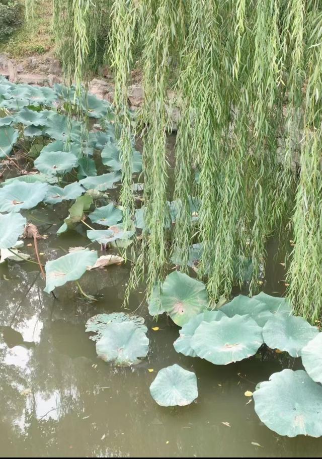 王林平随笔《古人对水域的诗情画意》