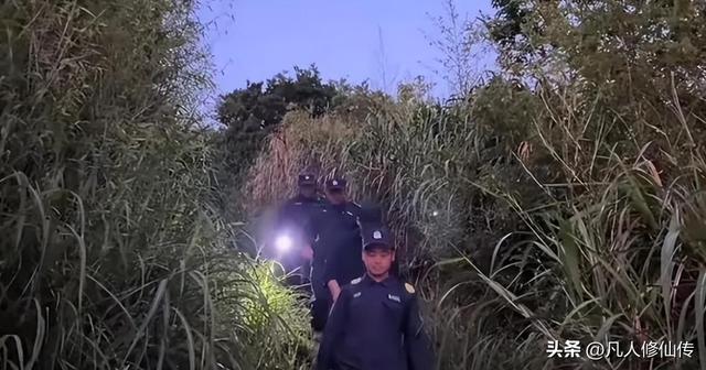 危情险境之宁波女孩温岭海边看蓝眼泪遇难时间线梳理及原因分析