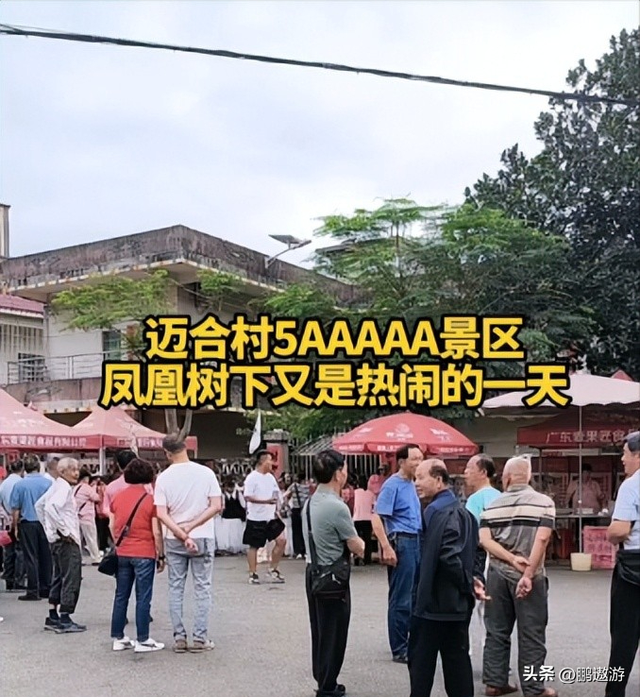 全红婵爸爸用冠军名号赚钱，把流量变成现实红利，网友评论吵翻天