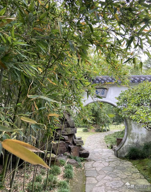 大量欧美游客涌入无锡	，打着旅游幌子不去旅游不吃美食，为啥来？