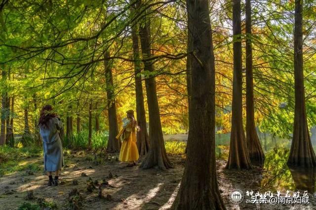 给个准信！盼了又盼的秋日“顶流”全部上线