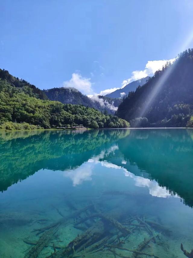 鱼跃天际、鸟翔水底，九寨沟邀你共赏夏日奇景~