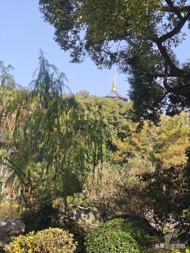 2025 杭州西湖 City Walk 留下足迹