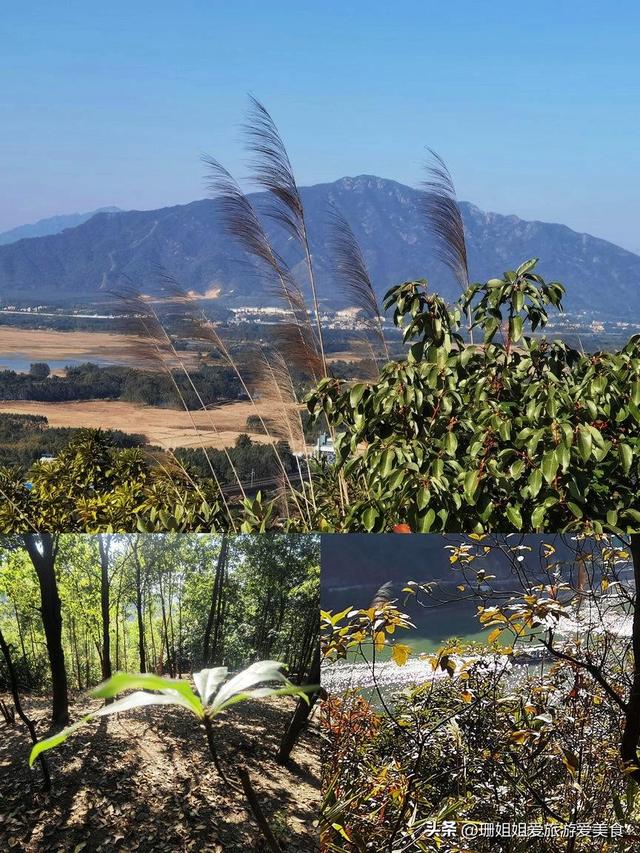 挑遍多地，在清远山清水秀中，找到“退休养老”的舒服模样