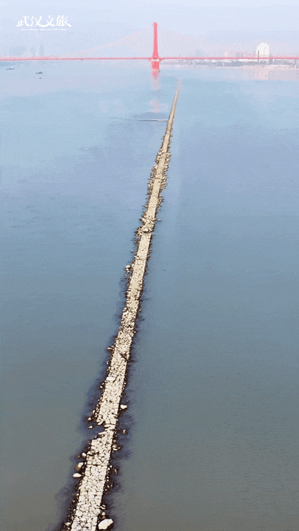 长江水位下降，武汉的秘密藏不住了！