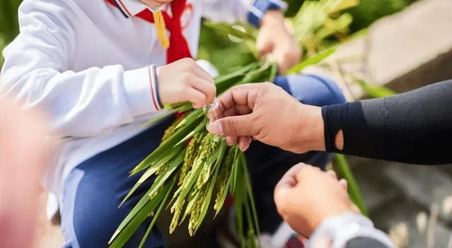 国庆到上海金山山阳田园逛美食市集、亲子体验、畅听果蔬音乐汇！