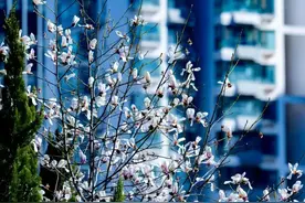 阵雨或雨夹雪！日照最新天气预报→图片