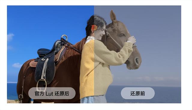 前所未有！vivo OPPO 荣耀新手机狂推拍照影像，相机看了会尴尬吗？