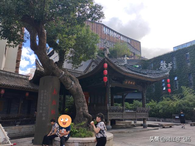 2025国庆第四天游温州：五马街沙帽河街区（半日）