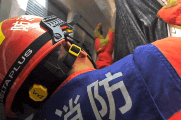 家中惊现不速之客，消防员“一招制蝠”