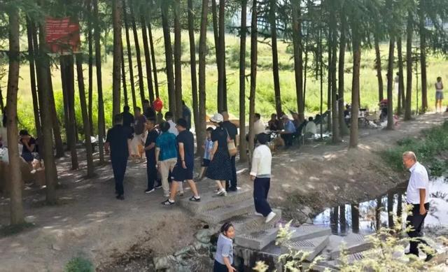 礼县文旅热力全开｜这个夏天，遍地是“爆款”