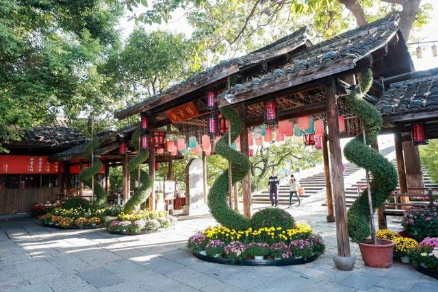 230种“秋韵”上线！拱墅这片花海藏不住了