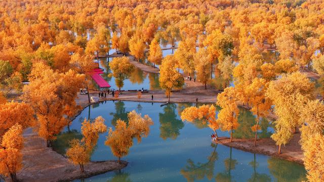 多年来，一批又一批绍兴人前赴后继，走进了这座大漠小城……