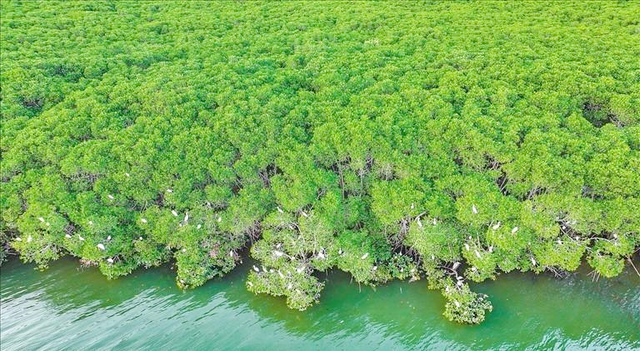 南海明珠海南省，49个冷知识，你知道几个？带你了解真实的海南省