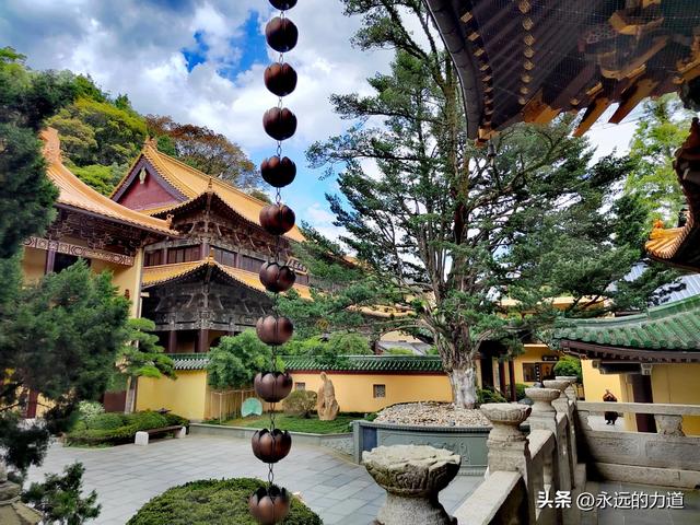 东林大佛&东林寺，在大佛脚下休憩