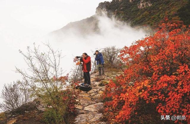 美在邯郸丨涉县太行五指山——浓浓秋意别样景