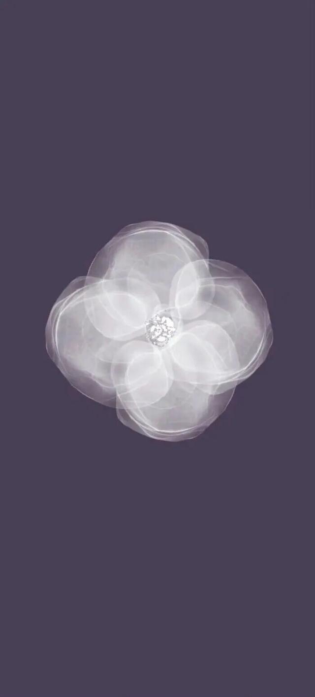 " 巨好看的手机壁纸 "40张