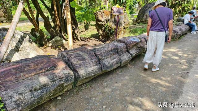 【每日一景】云南德宏勐巴娜西珍奇园