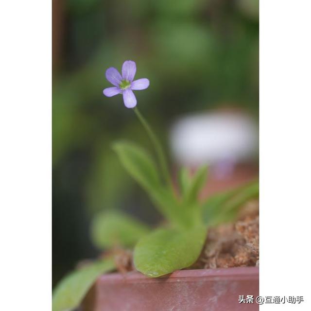 选索尼还是适马？E卡口大光圈长焦变焦镜头巅峰对决！