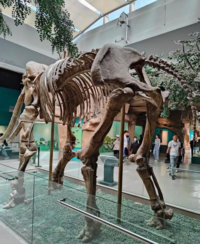 又踏甘肃地之七十三 白银篇之十三 白银市博物馆（2）