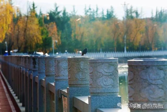 初冬汭河，摇曳一岸诗意时光