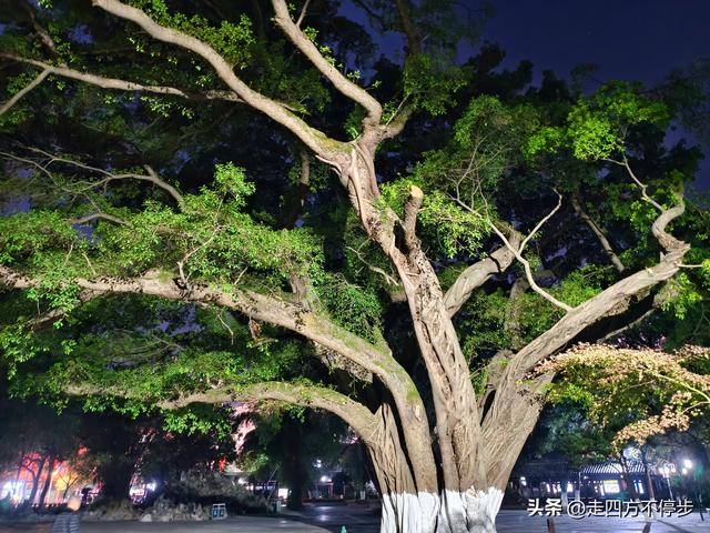 初遇赣州老城：千年古城的惊鸿一瞥