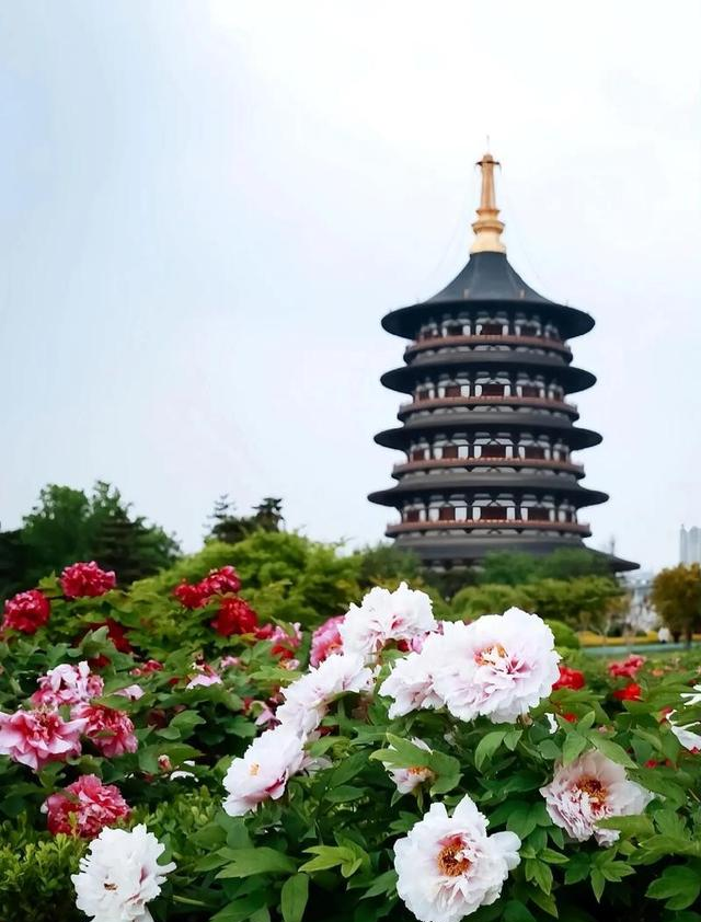 和老伴去洛阳，住了一个月，我实话实说：跟网上说的不太一样