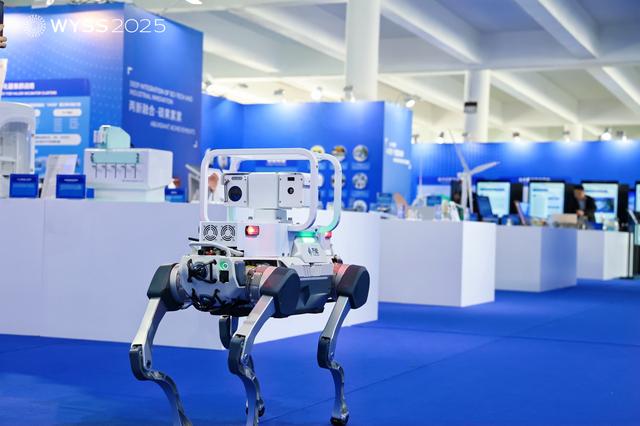 聚焦青科会丨2025青科会“万有引力π”在温启幕