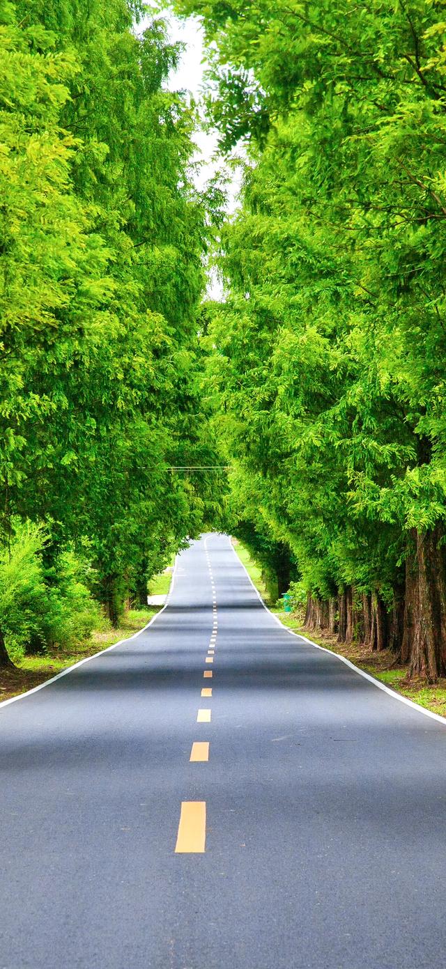 手机壁纸|风景