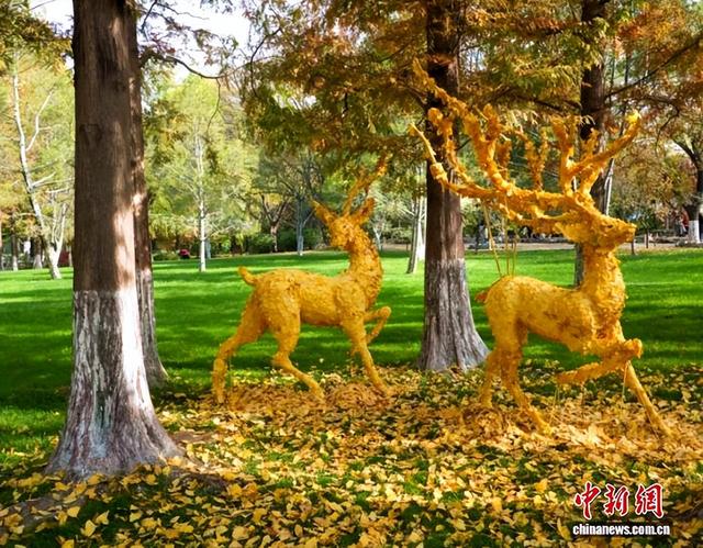 “悟空”陪游、云端赏叶 中国年轻人踏秋追求“情价比”