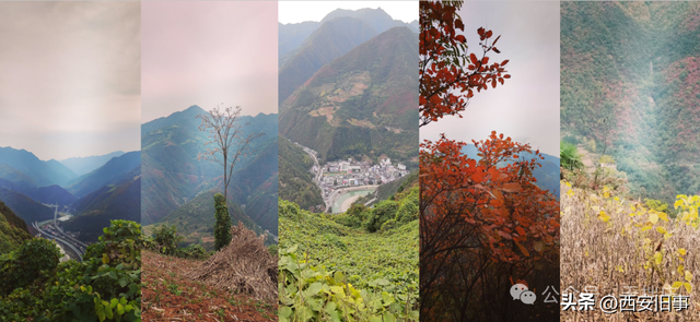 高伟：镇安月西沟之行