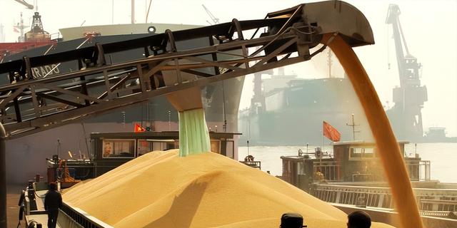 起风了！加拿大对华改口，禁止与中国签协定	，65万吨芸苔子白买？