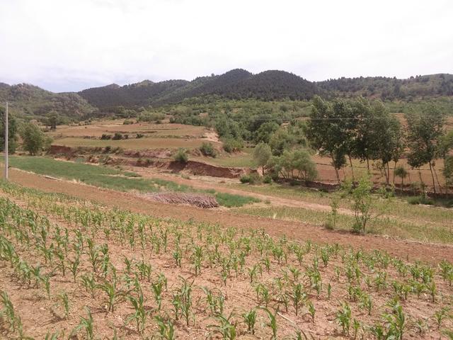 我是广州人刚从河北承德回来,有6个感受不吐不快,太有反差感了