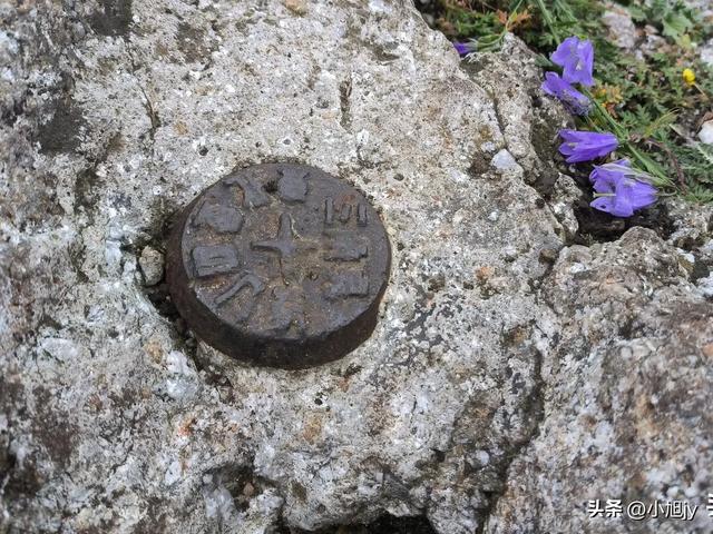 再登辽阳千米高峰白云山，云雾弥漫，金莲花盛开