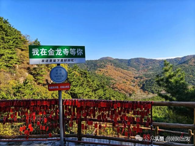 大连城山,挑战台阶之最,金龙寺森林公园风景太美了
