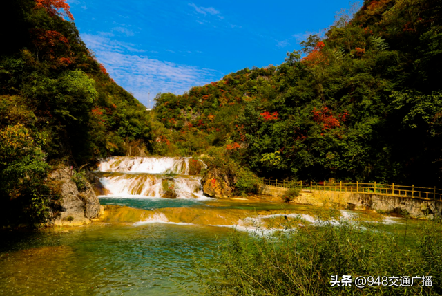 秋色限定！自驾郧阳230省道，闯入十堰的“红叶天堂”