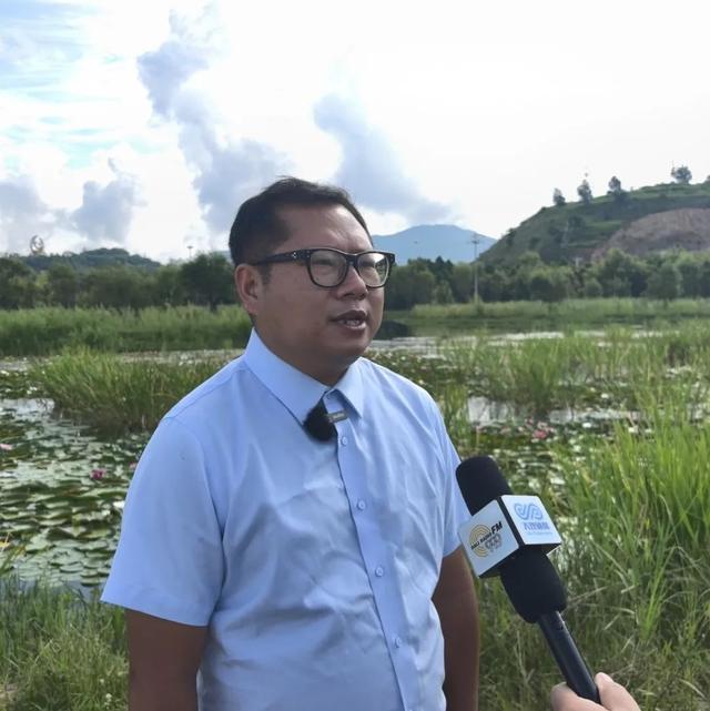 9.58公里生态绿脉新生！洱海南部湖滨带织密国际湿地城市“生态网”
