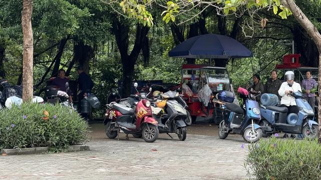 南宁青秀山脚下的水源地,来取水的人络绎不绝,你喝过这里的水吗