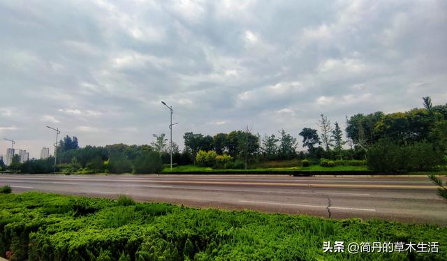 骑上我的小毛驴去遛弯