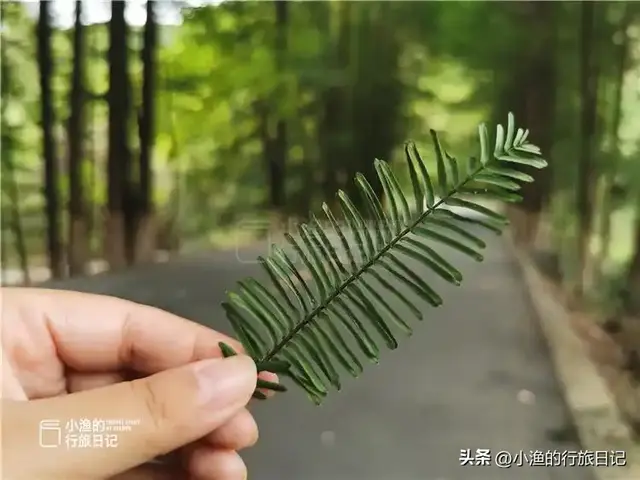 陕南秦岭自驾，偶遇秦岭腹地工程奇迹，让人感慨、感动