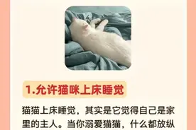 看！这就是猫咪被“过度溺爱”的行为！图片