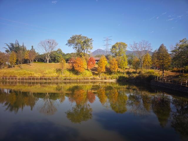从丽康路穿荔园溪谷至西丽湖绿道骑行随拍