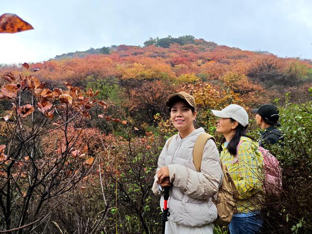 雾锁风挡山，红叶引客来