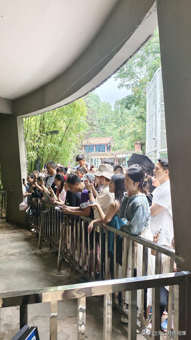 贵阳人与避暑客，贵阳黔灵山公园里的热闹与体谅